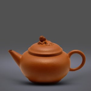 Thuỷ Bình Sư Nữu