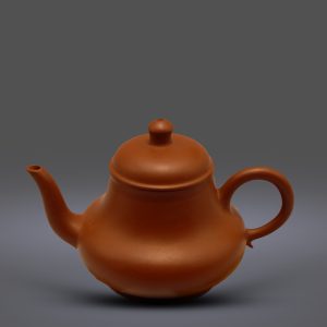 Tư Đình Biến Thể